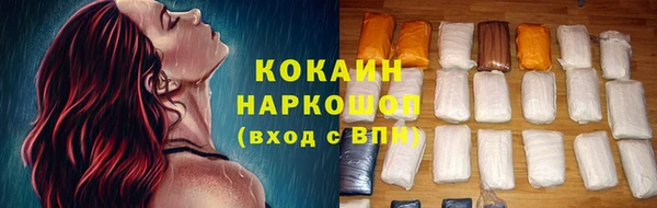 гашик Арсеньев