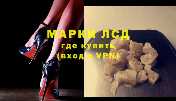 гашик Арсеньев
