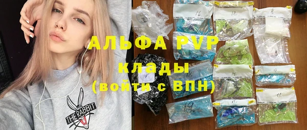гашик Арсеньев