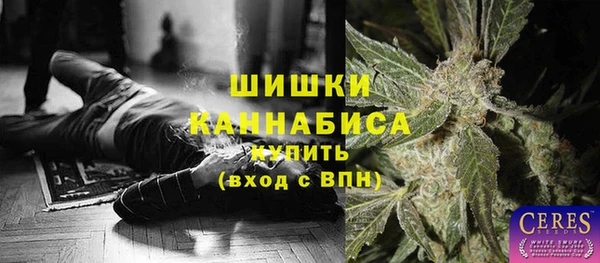 spice Аркадак
