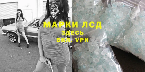 spice Аркадак