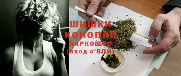 spice Аркадак