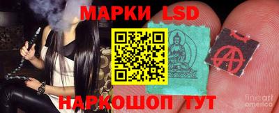 mdpv Новокубанск