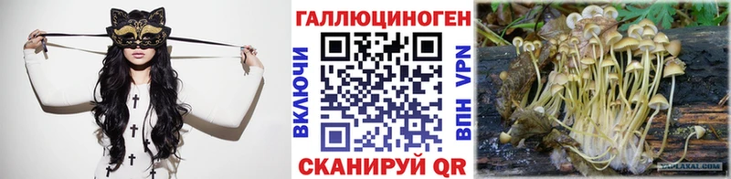 Галлюциногенные грибы Psilocybine cubensis  Волхов 