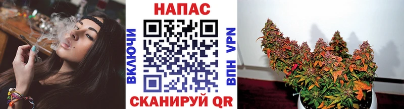 купить Волхов Каннабис MAZAR